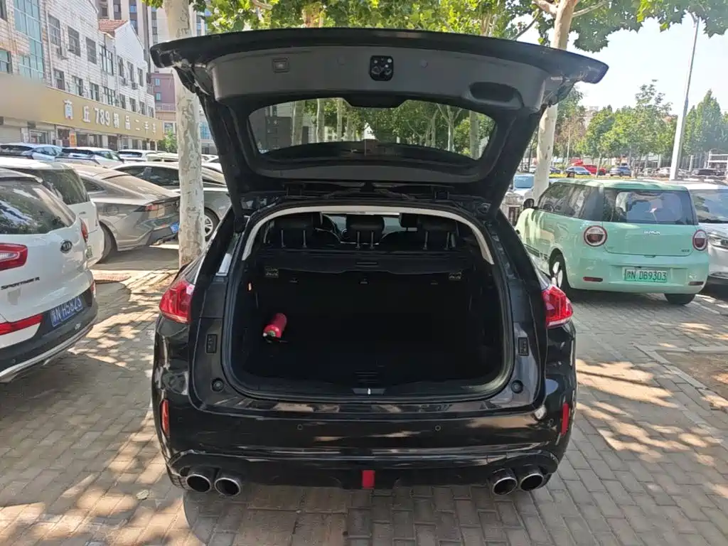 WEY VV5 2017 2017 2.0T Super Luxury Model