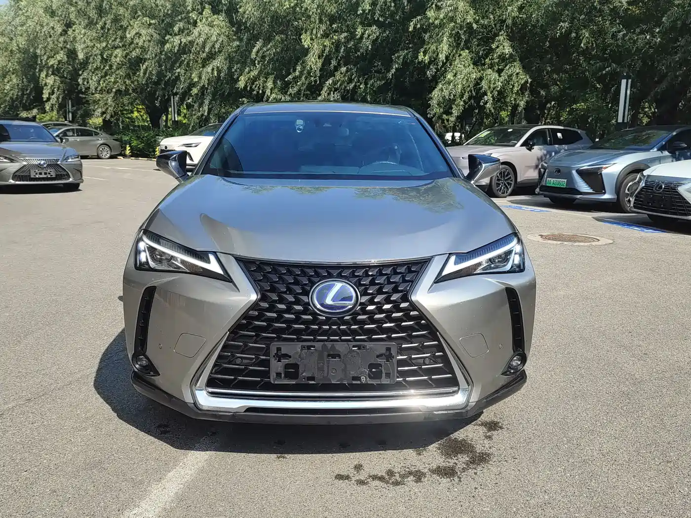 Lexus UX 2020 2020 260h Explore Fun Edition