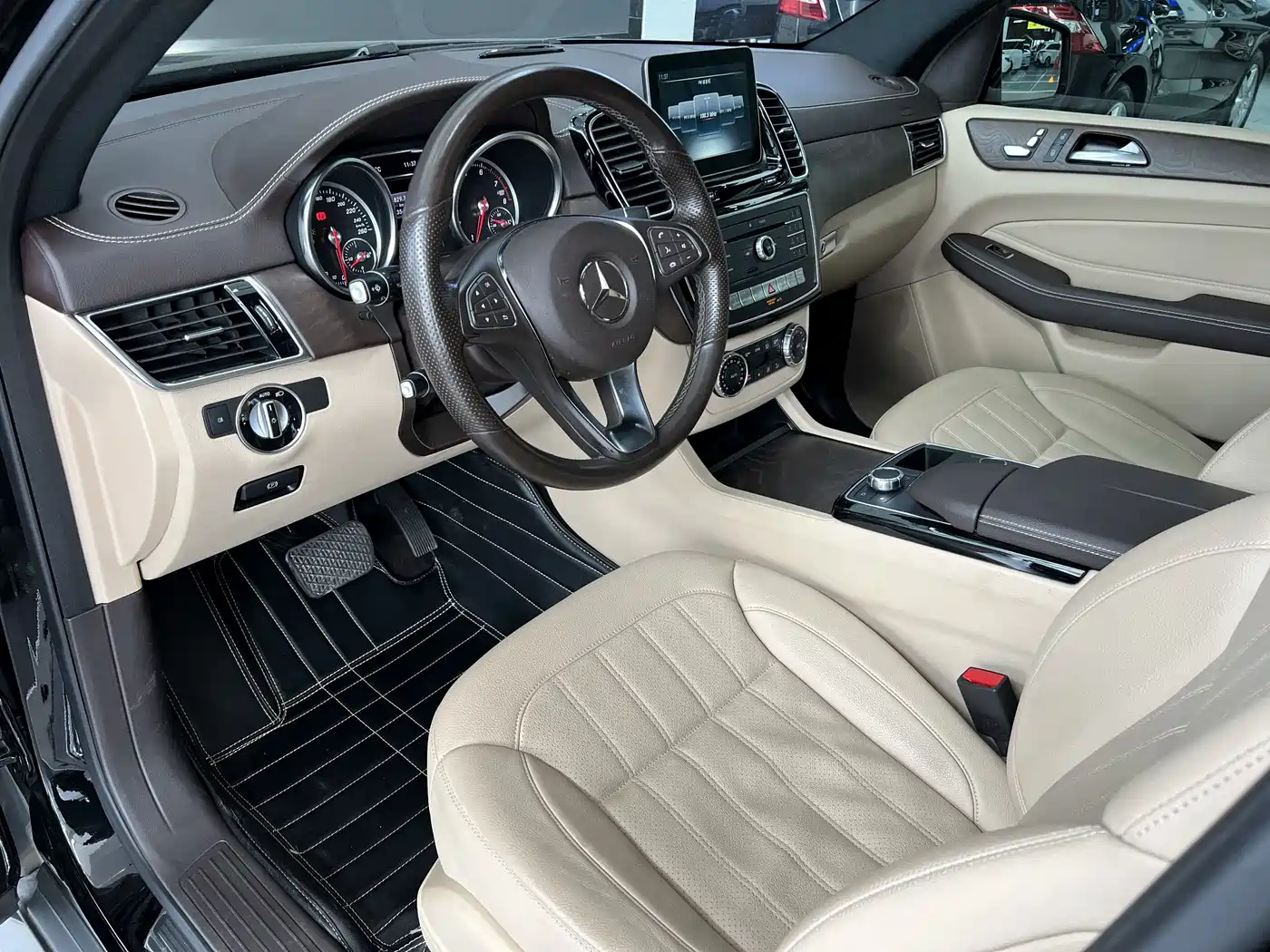 Mercedes-Benz GLE 2017 GLE 320 4MATIC Dynamic фото 10