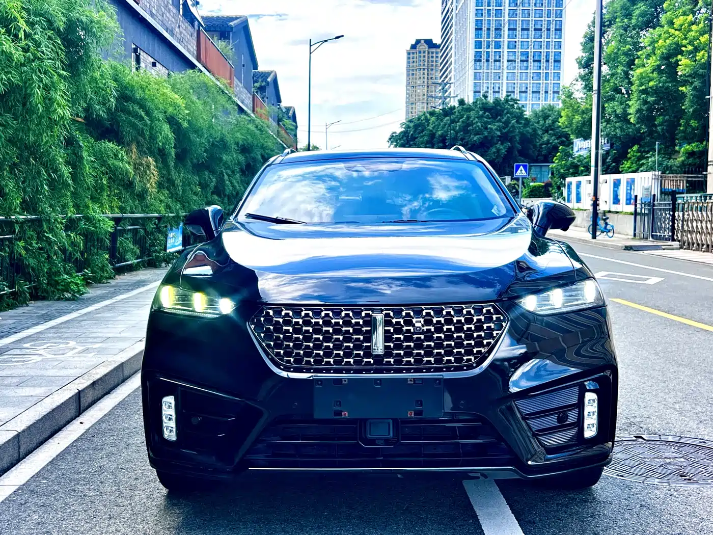 WEY VV7 2020 2020 Model 2.0T Flagship