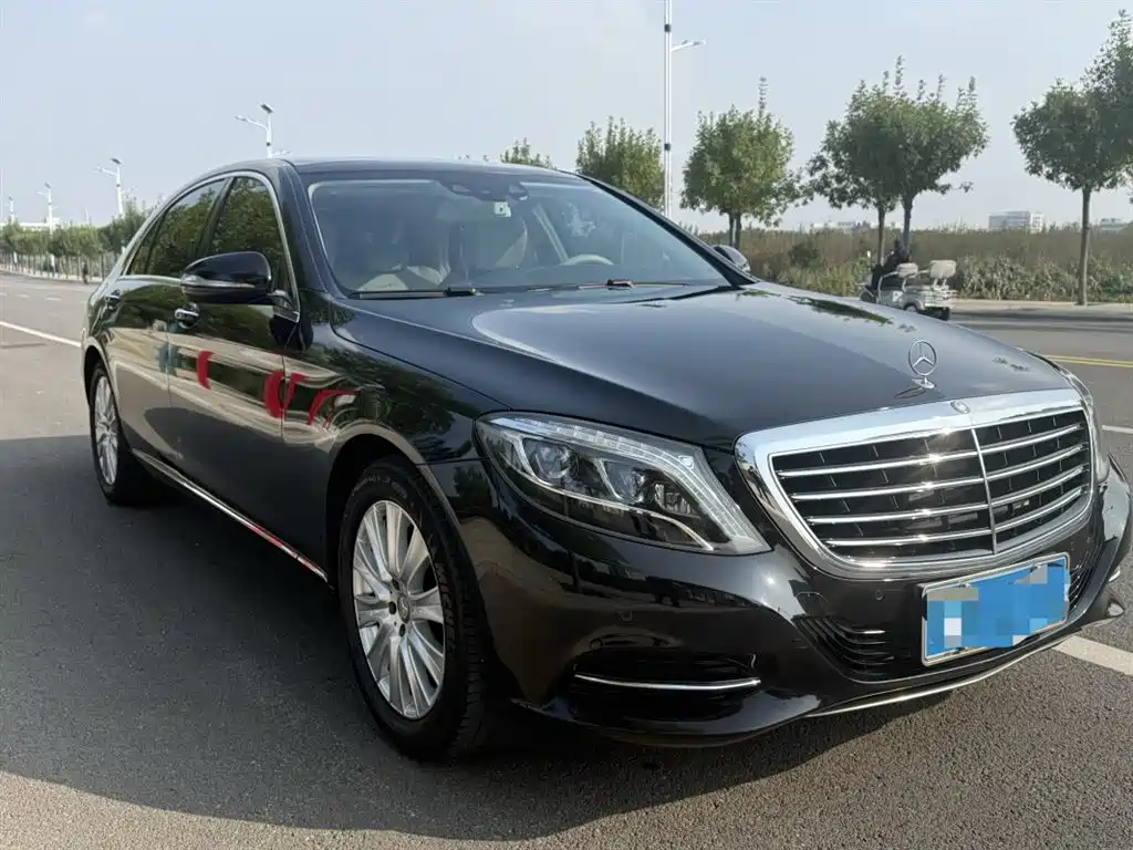 Mercedes-Benz S-Class 2016 S 320 L Luxury фото 2