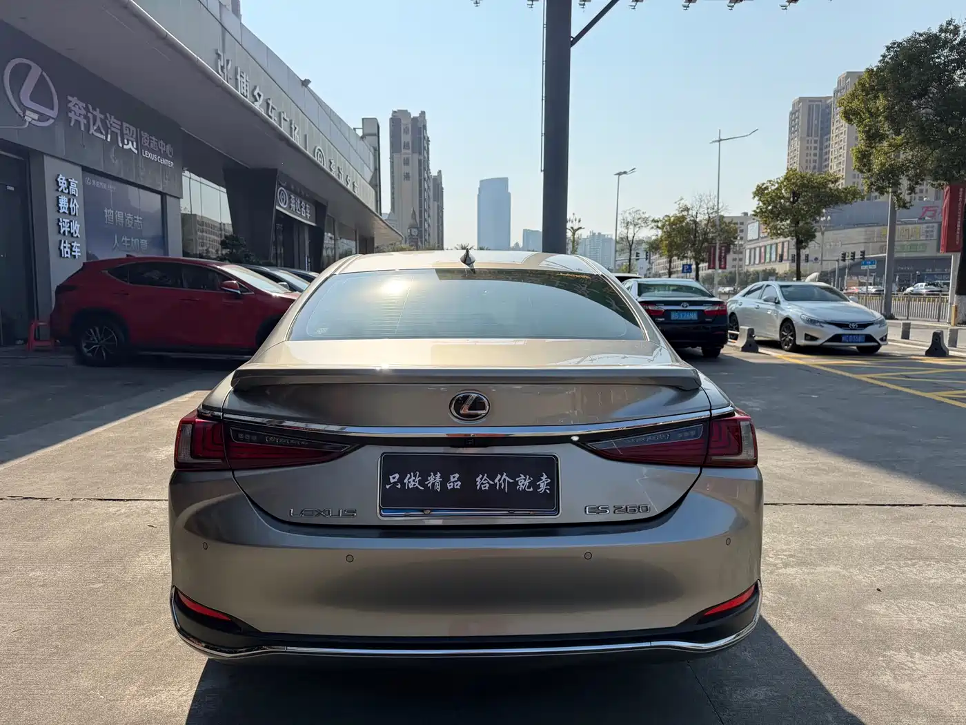 Lexus ES 2023 200 Excellence Edition фото 12