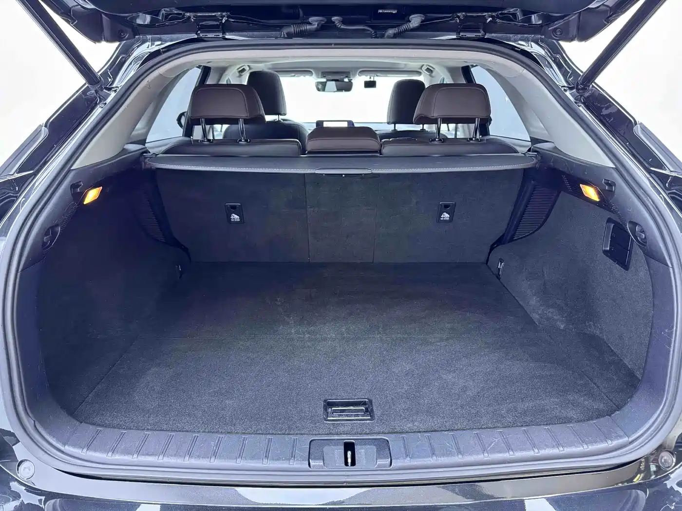 Lexus RX 2016 450h 4WD Elegance Edition фото 19