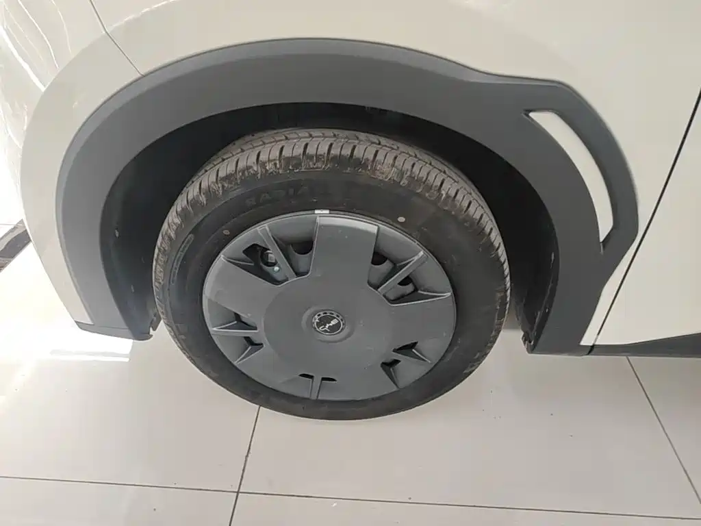 BYD Seagull 2026 2025 Smart Drive Edition 305km Vitality Version