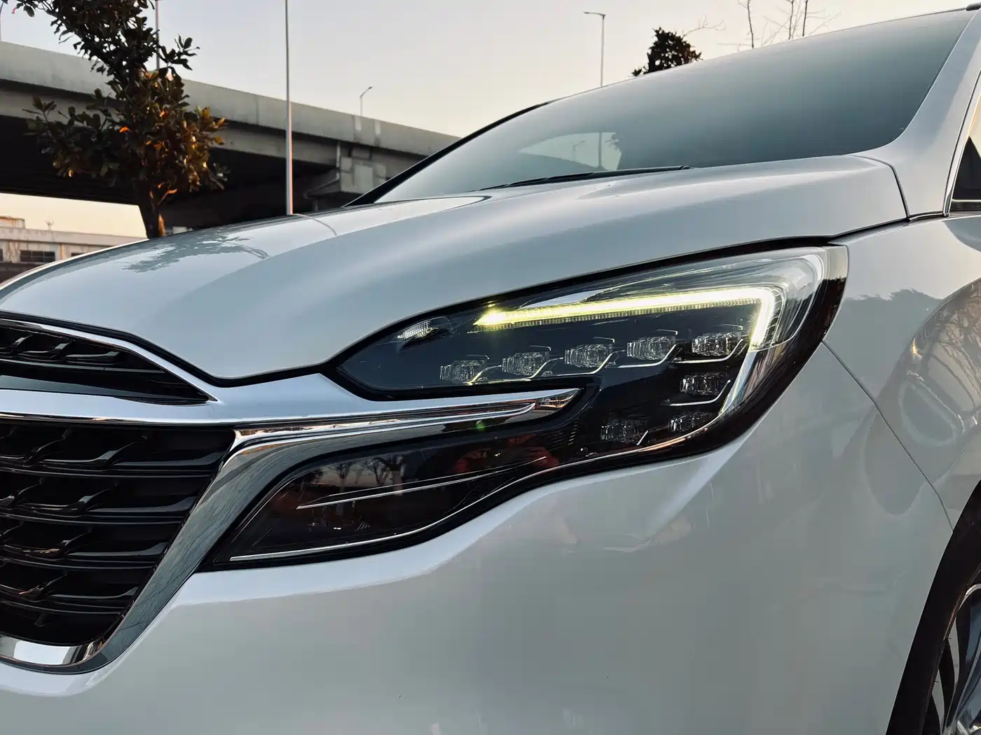 Buick GL8 2021 ES Landlord 653T Comfort фото 2