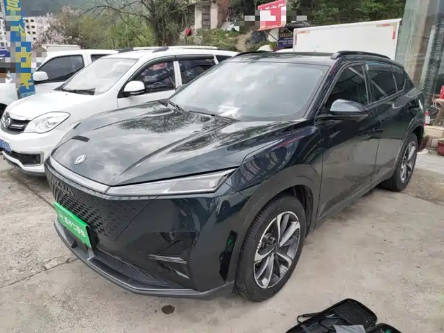  Dongfeng Aeolus Haohan 2023 1.5T Luxury Edition