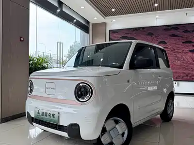 Geely Panda