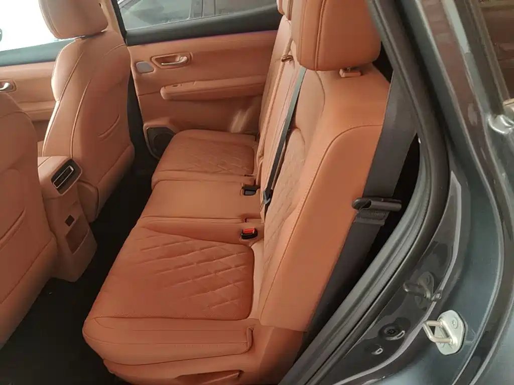 Landian E5 PLUS 2026 2026 165km Long Range First Edition Ultra 7-Seater
