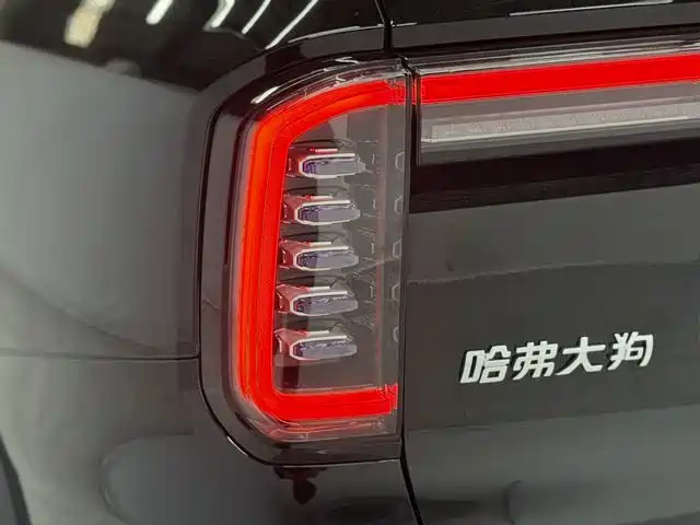 Haval Big Dog 2026 Model 1.5T High Configuration фото 11