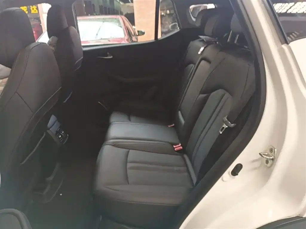 GAC Trumpchi Trumpchi GS4 2020 270T Automatic Smart Connect Tech Version фото 17