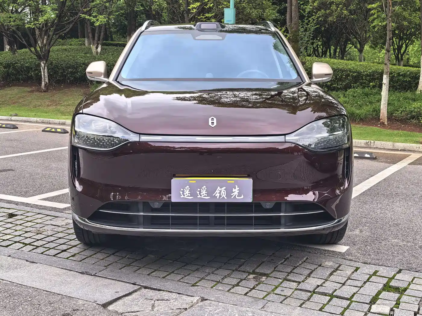 AITO Wenjie AITO M9 2025 Extended Range Ultra 52kWh 5-Seater фото 2