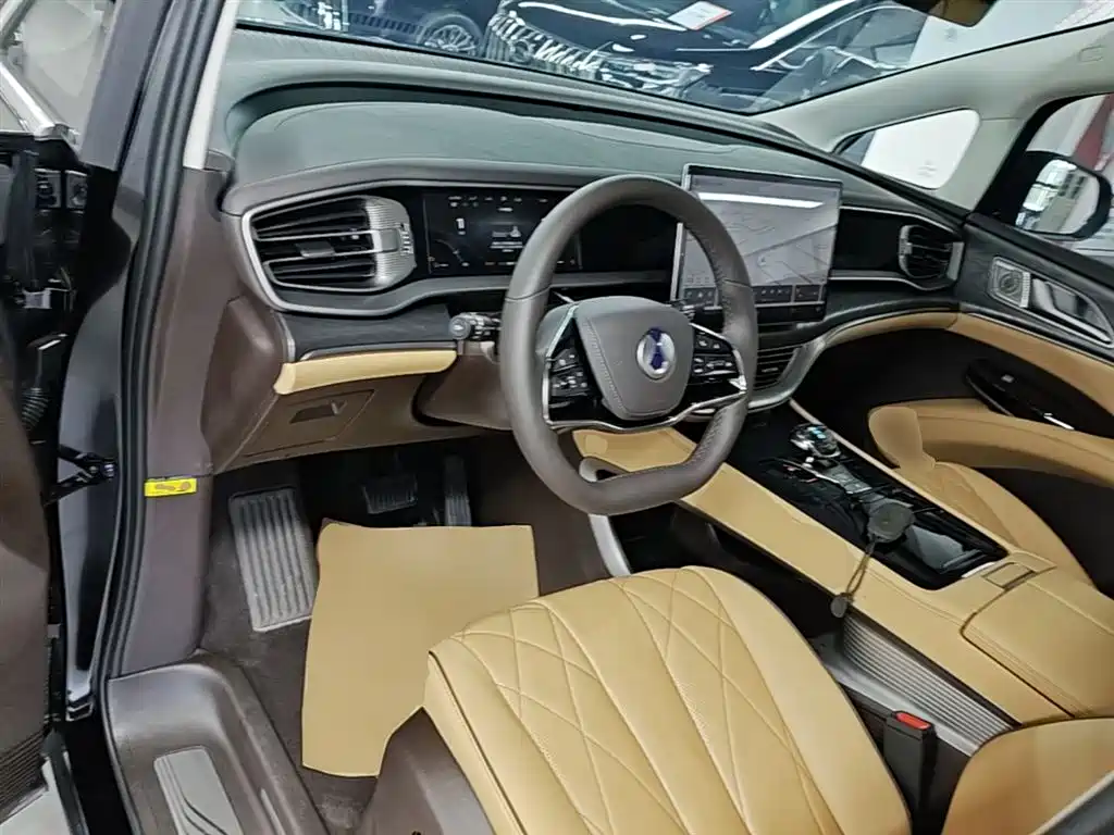 Denza D9 2024 DM-i 980 AWD Premium фото 10