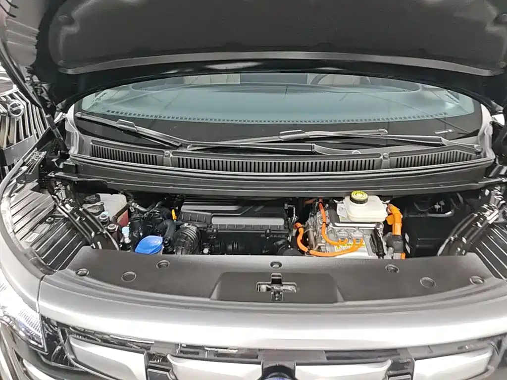 Denza D9 2024 DM-i 980 AWD Premium фото 20