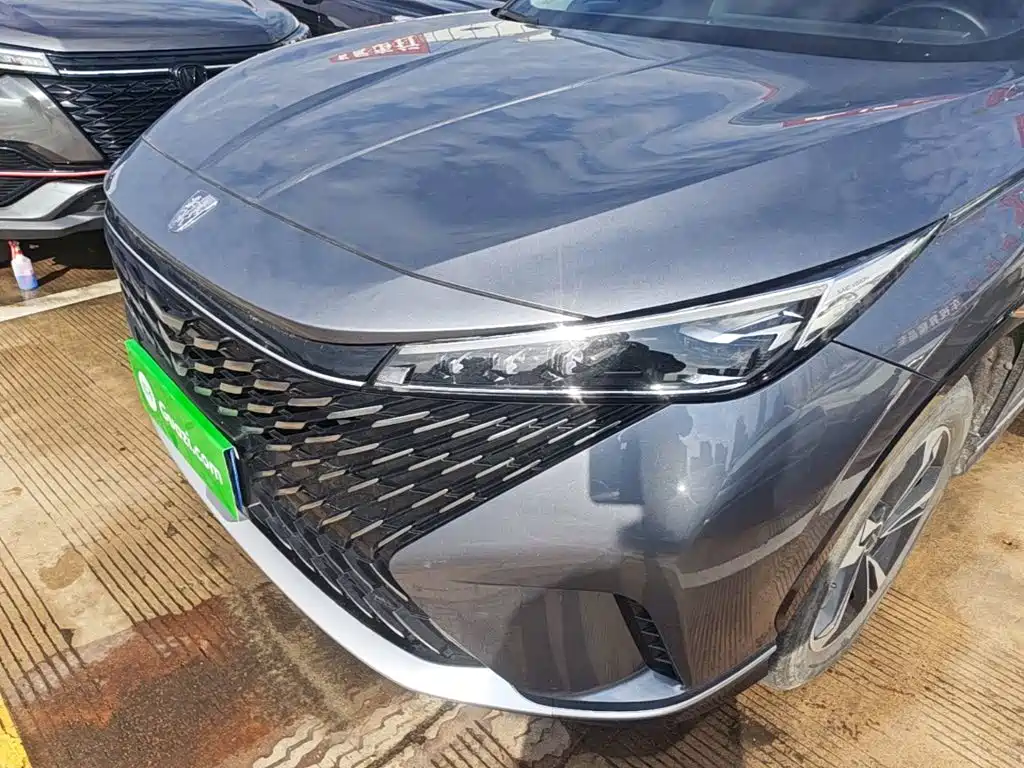 Фото 24 - Roewe RX5