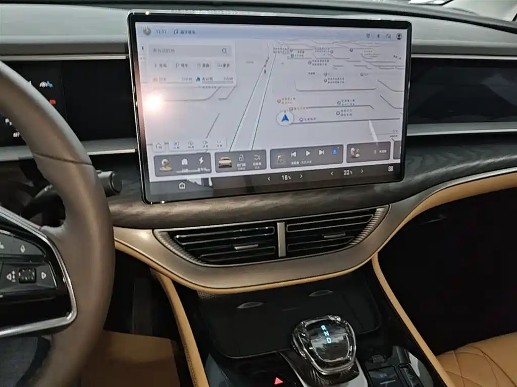 Denza D9 2024 DM-i 980 AWD Premium фото 13
