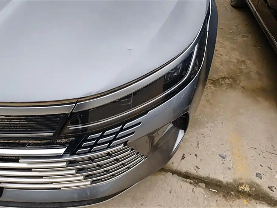 BYD Destroyer 05 2024 Glory Edition DM-i 55KM Luxury фото 5