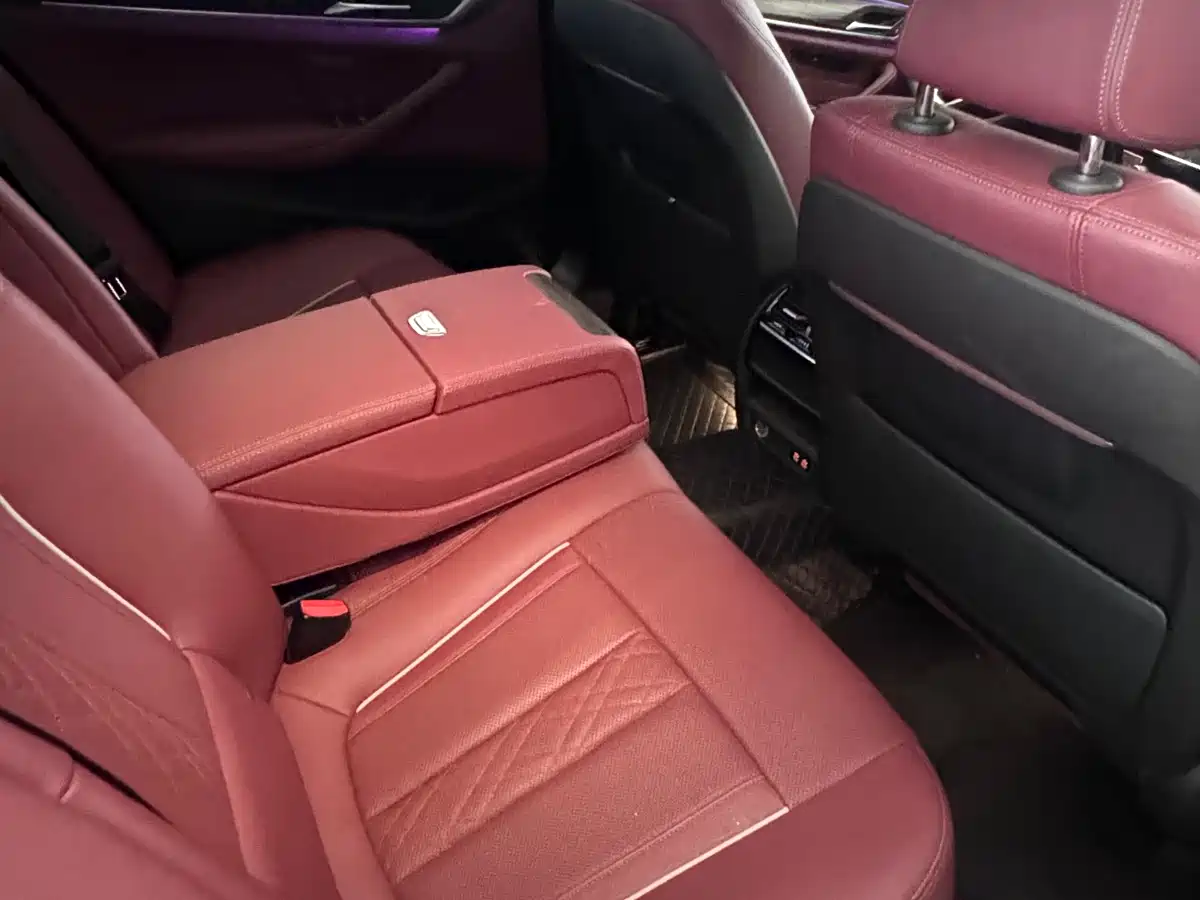 BMW 5 Series 2021 Facelift 530Li xDrive M Sport Package фото 19