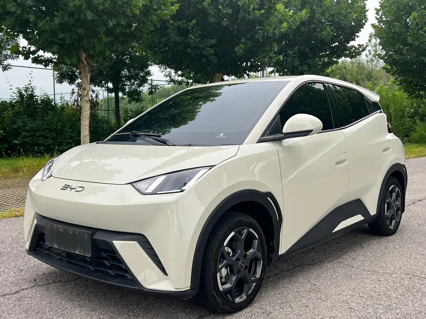 BYD Seagull 2024 Glory Edition 405km Soaring Edition