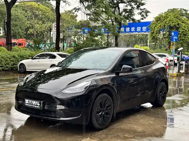 Tesla Model Y Задний привод