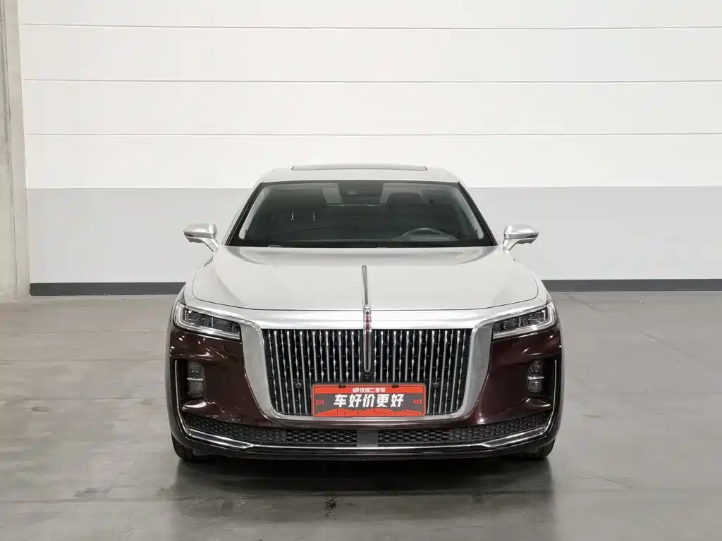 Photo 3 - Hongqi H9