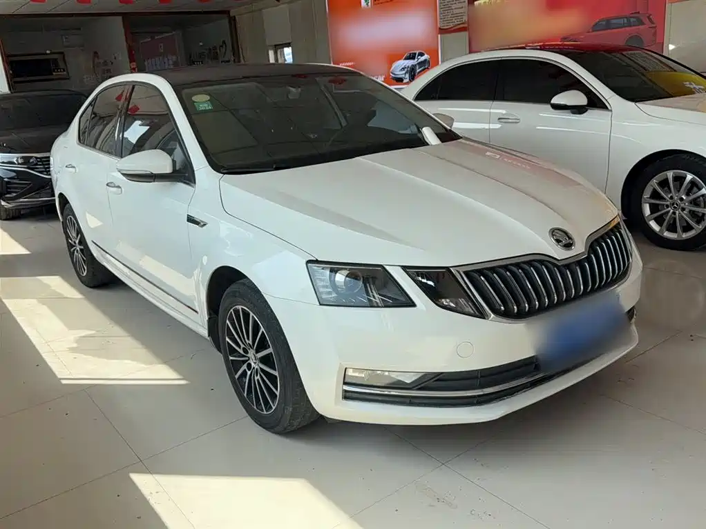 Škoda Octavia 2018 TSI230 DSG Luxury Edition фото 4