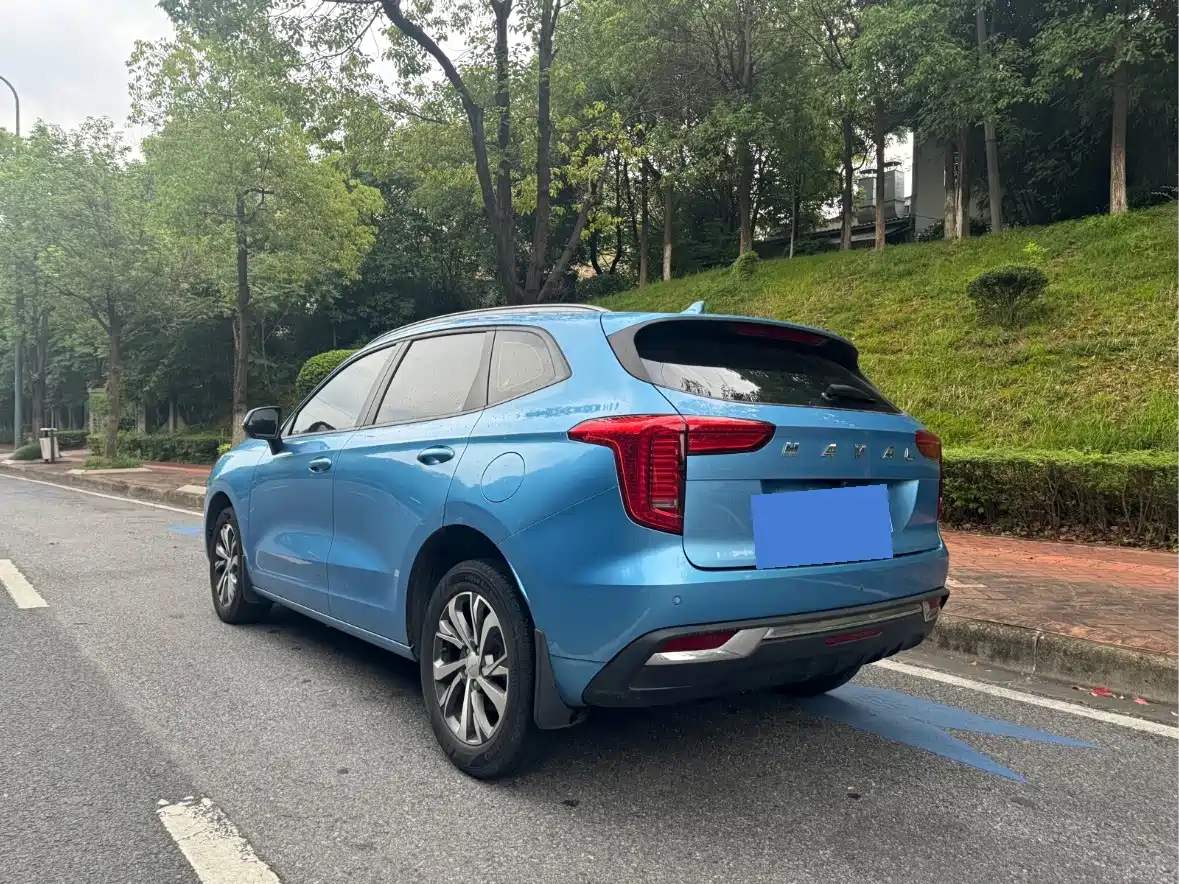 Haval First Love 2021 2021 1.5T Automatic Premium Edition