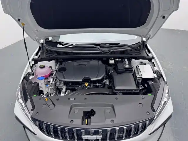 Фото 11 - Geely Binrui