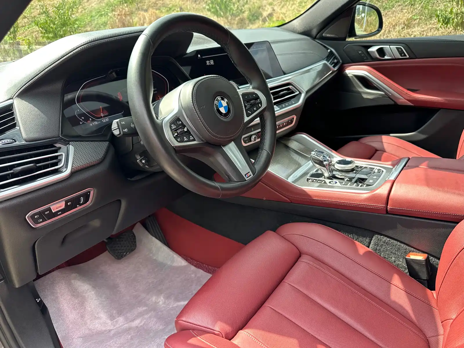 Photo 6 - BMW X6