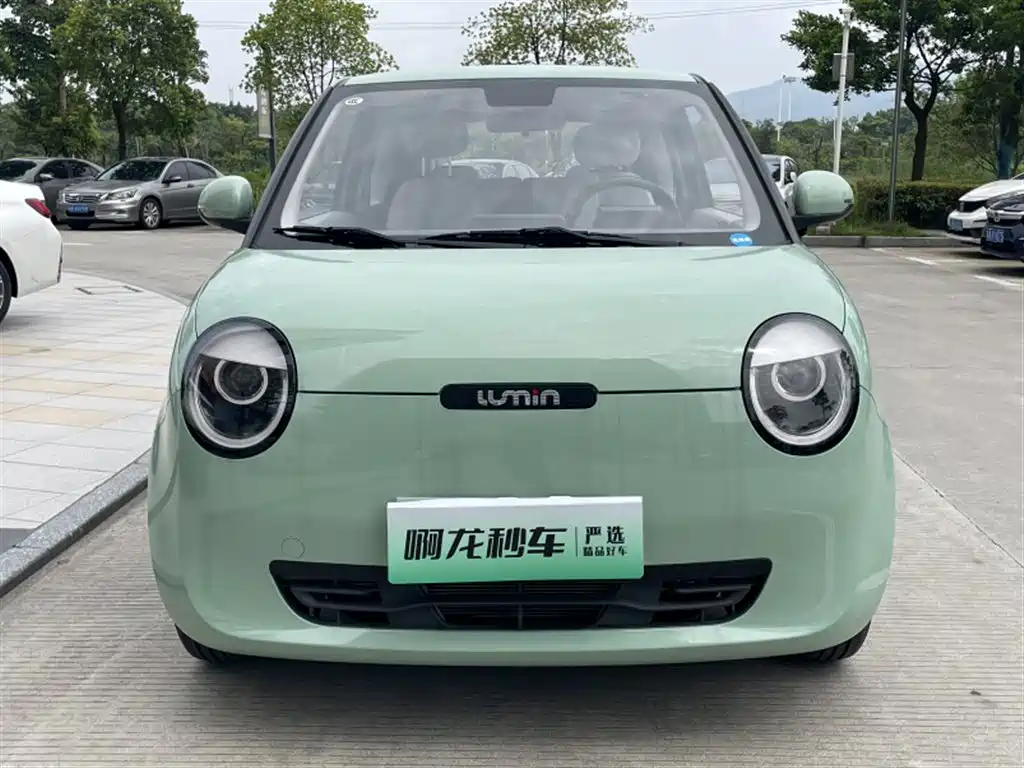 Changan Qiyuan Changan Lumin 2022 2022 210km Sweet Edition