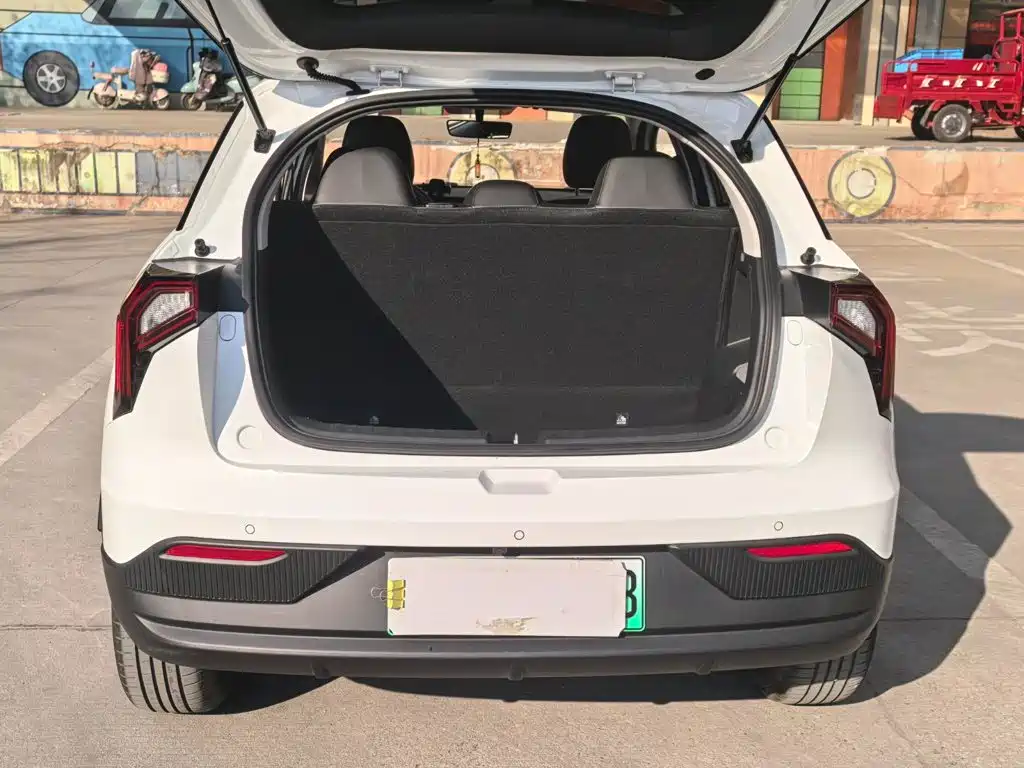 Geely Geometry E Firefly 2024 2024 401km Starlight