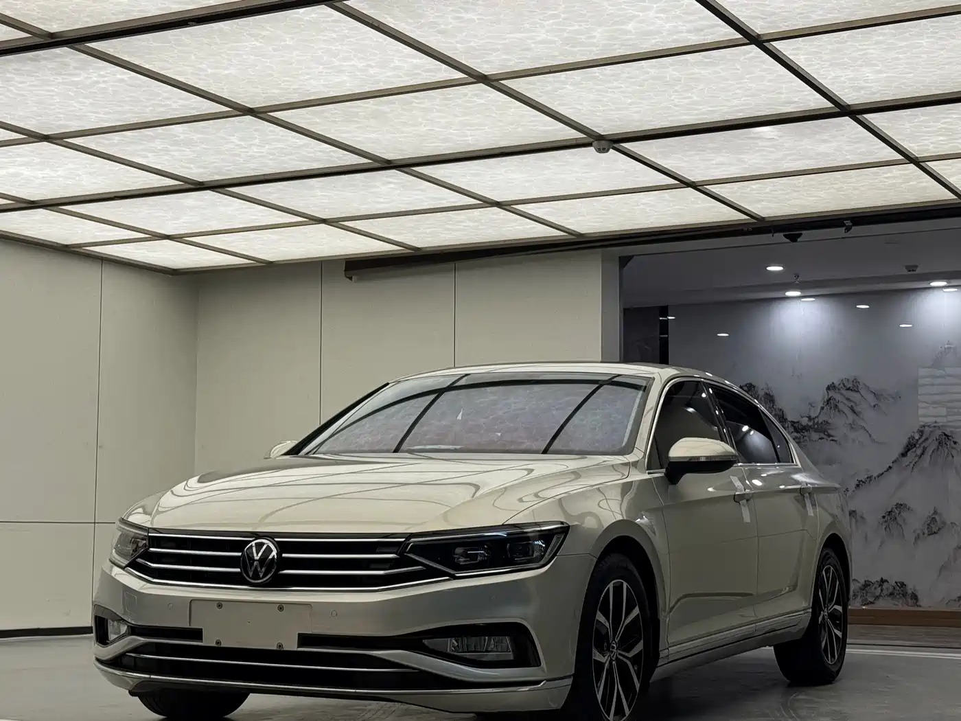 Volkswagen Magotan 2021 330TSI DSG 30th Anniversary Edition