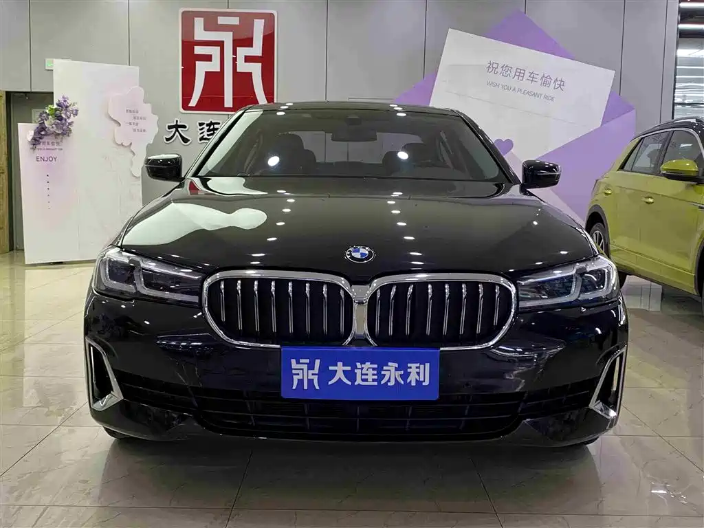 BMW 5 Series 2021 530Li Leading Luxury Package фото 2