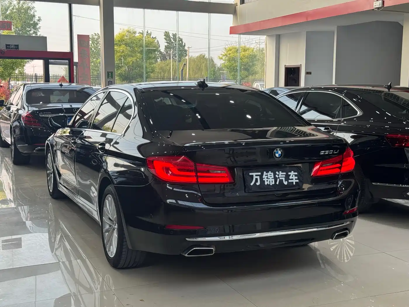 BMW 5 Series 2020 530Li Leading Luxury Package фото 4