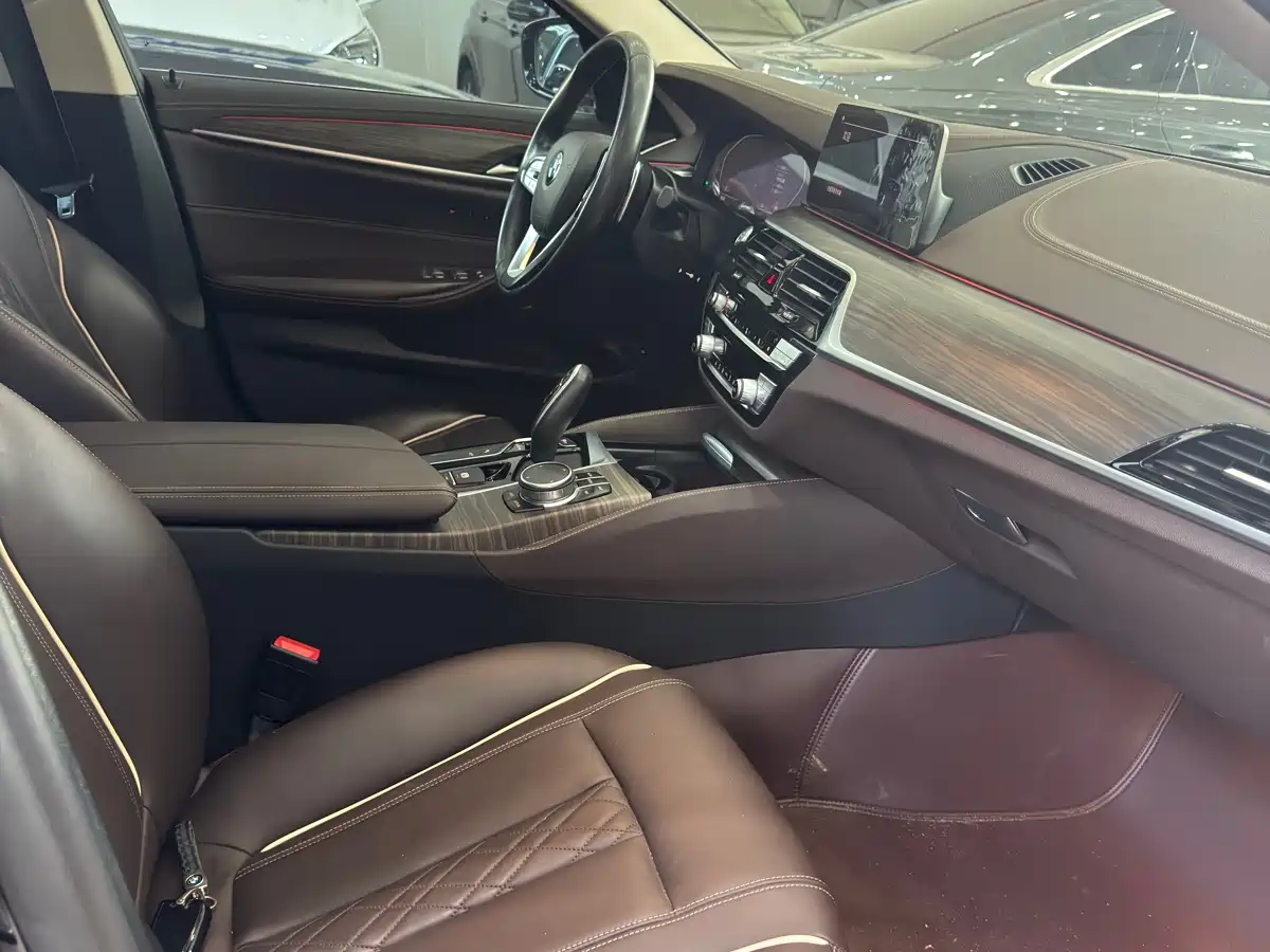 BMW 5 Series 2020 530Li Leading Luxury Package фото 13