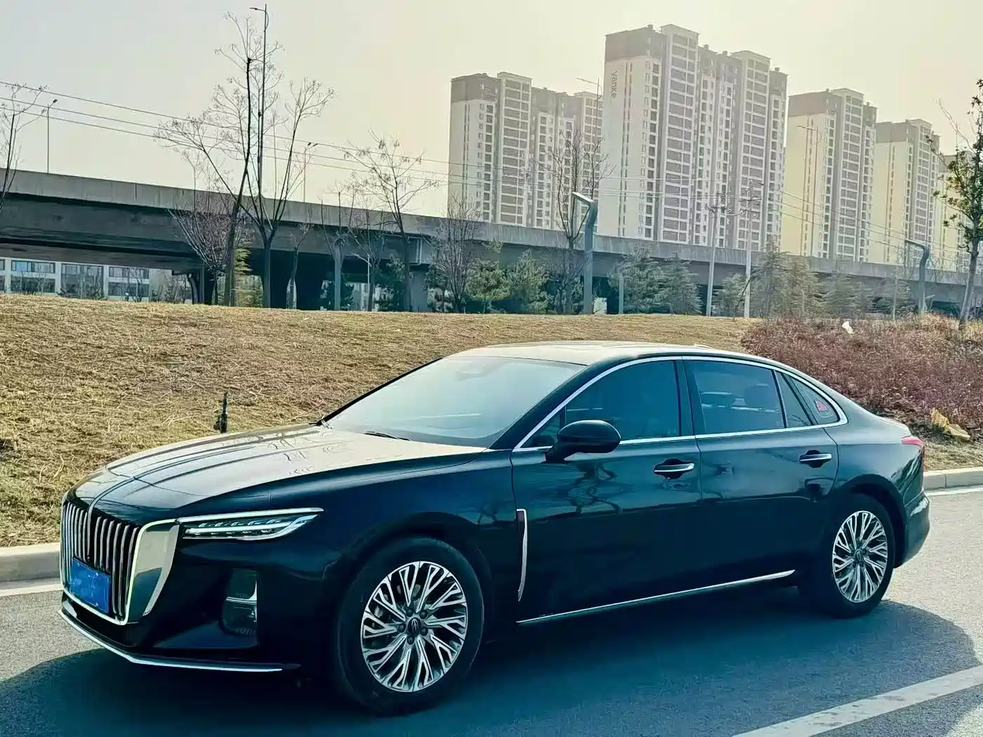Hongqi H5 2023 2.0T Auto Smart Connect Flag Comfort фото 2