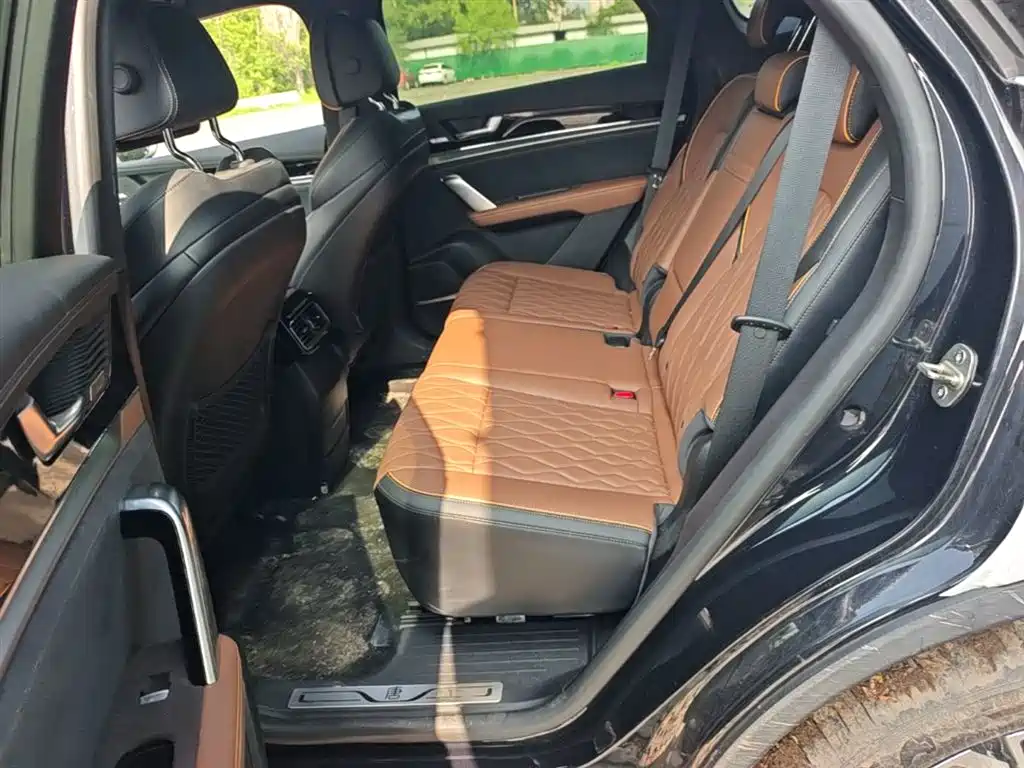 BYD Tang New Energy 2021 DM-i 112KM Honor фото 17