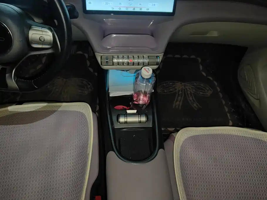 BYD Dolphin 2021 2021 Model 405km Fashion Edition
