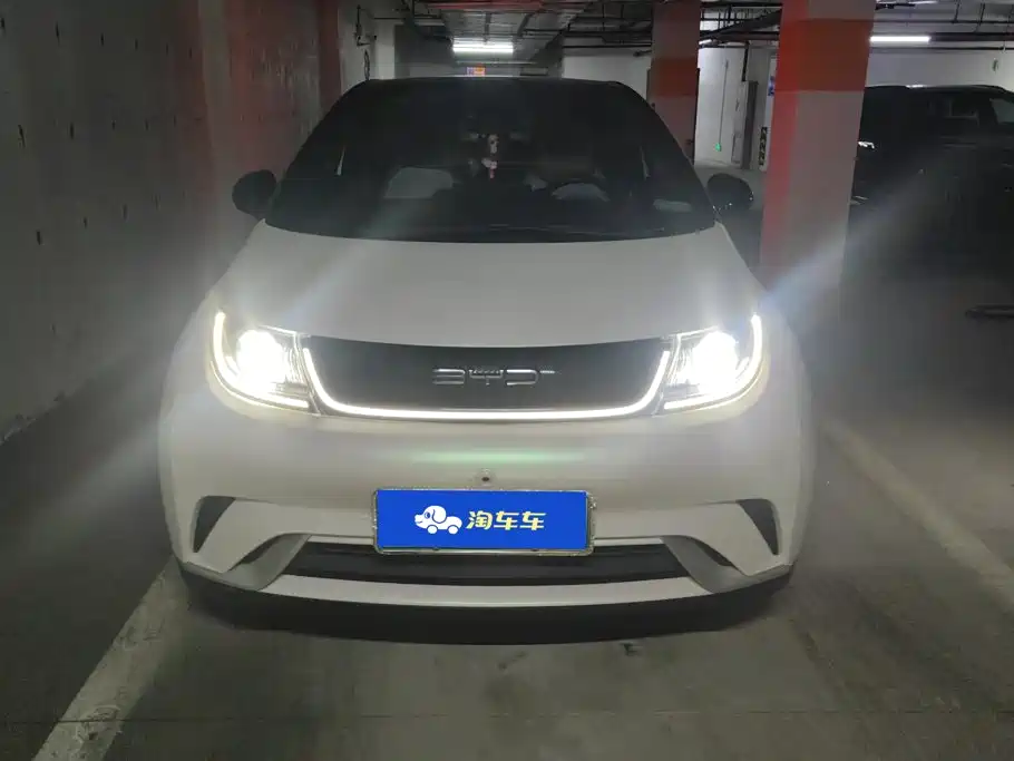 BYD Dolphin 2021 2021 Model 405km Fashion Edition