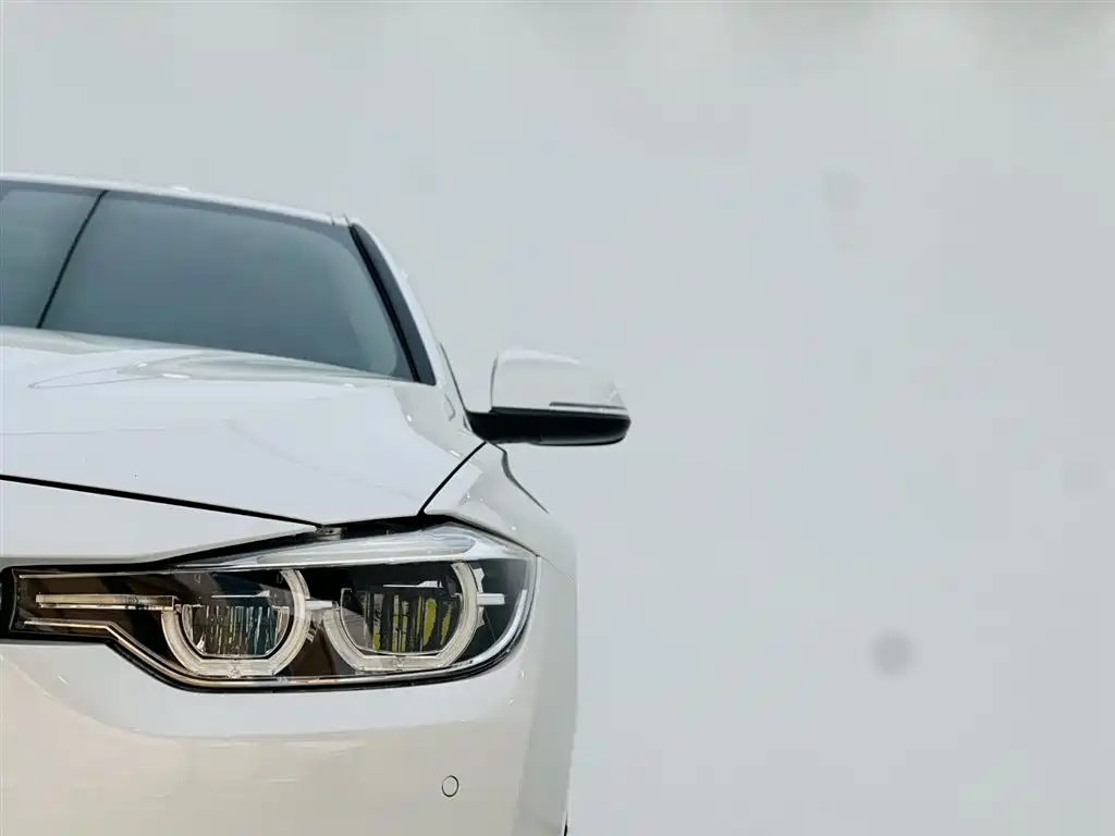 BMW 3 Series 2018 320Li Fashion Style фото 10