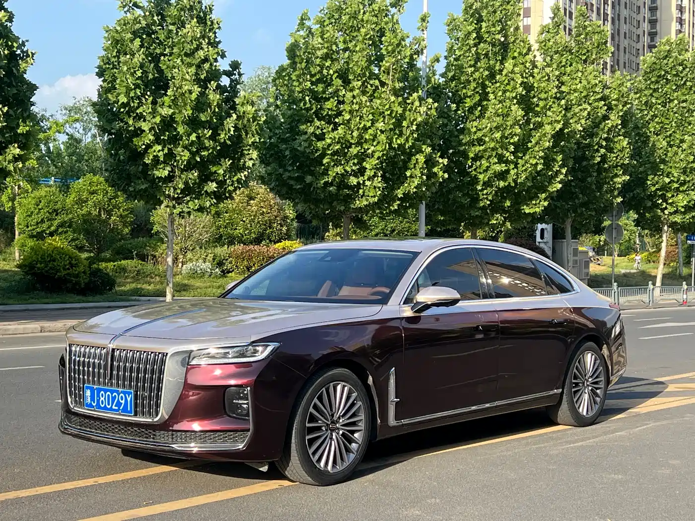 Hongqi H9 2020 2.0T Smart Connection Qi Xiang Edition