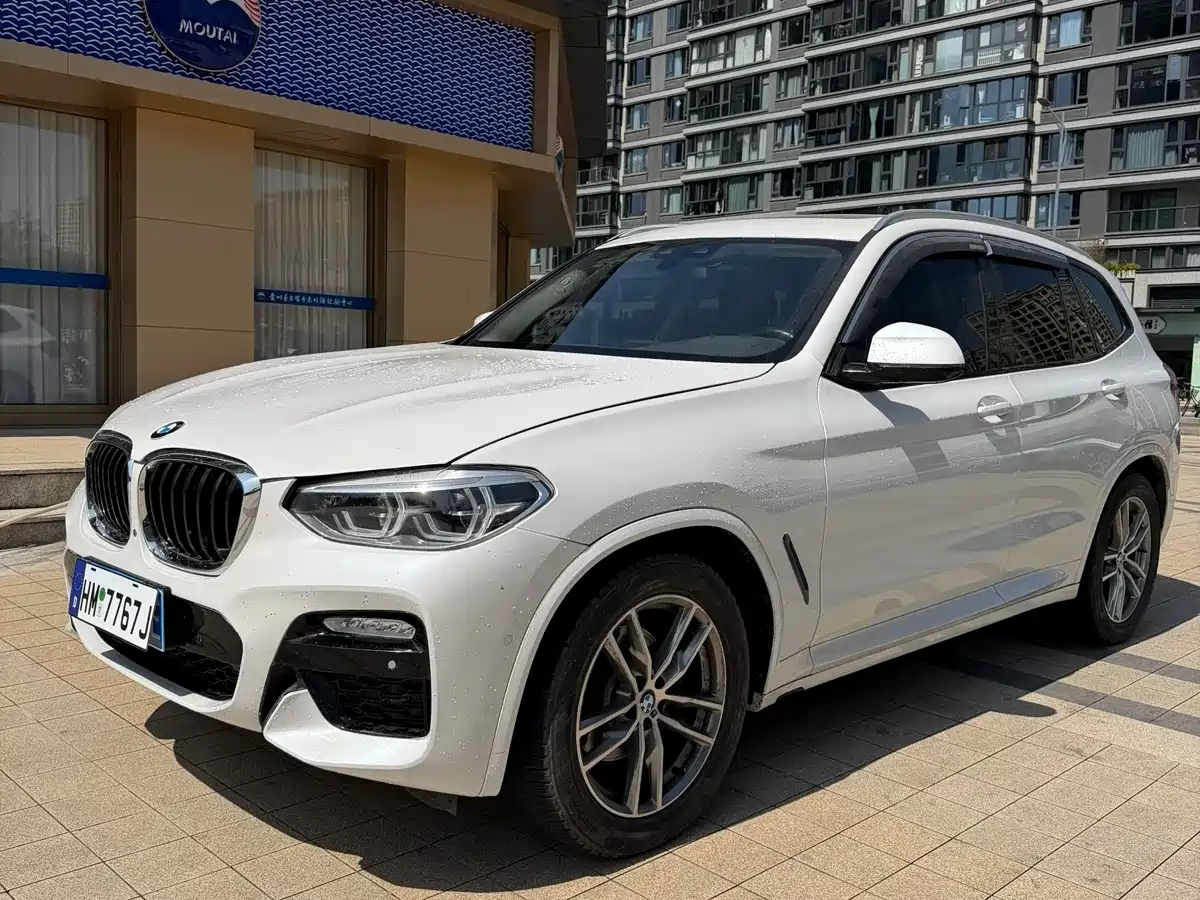 BMW X3 2018 xDrive30i Leading M Sport Package China V