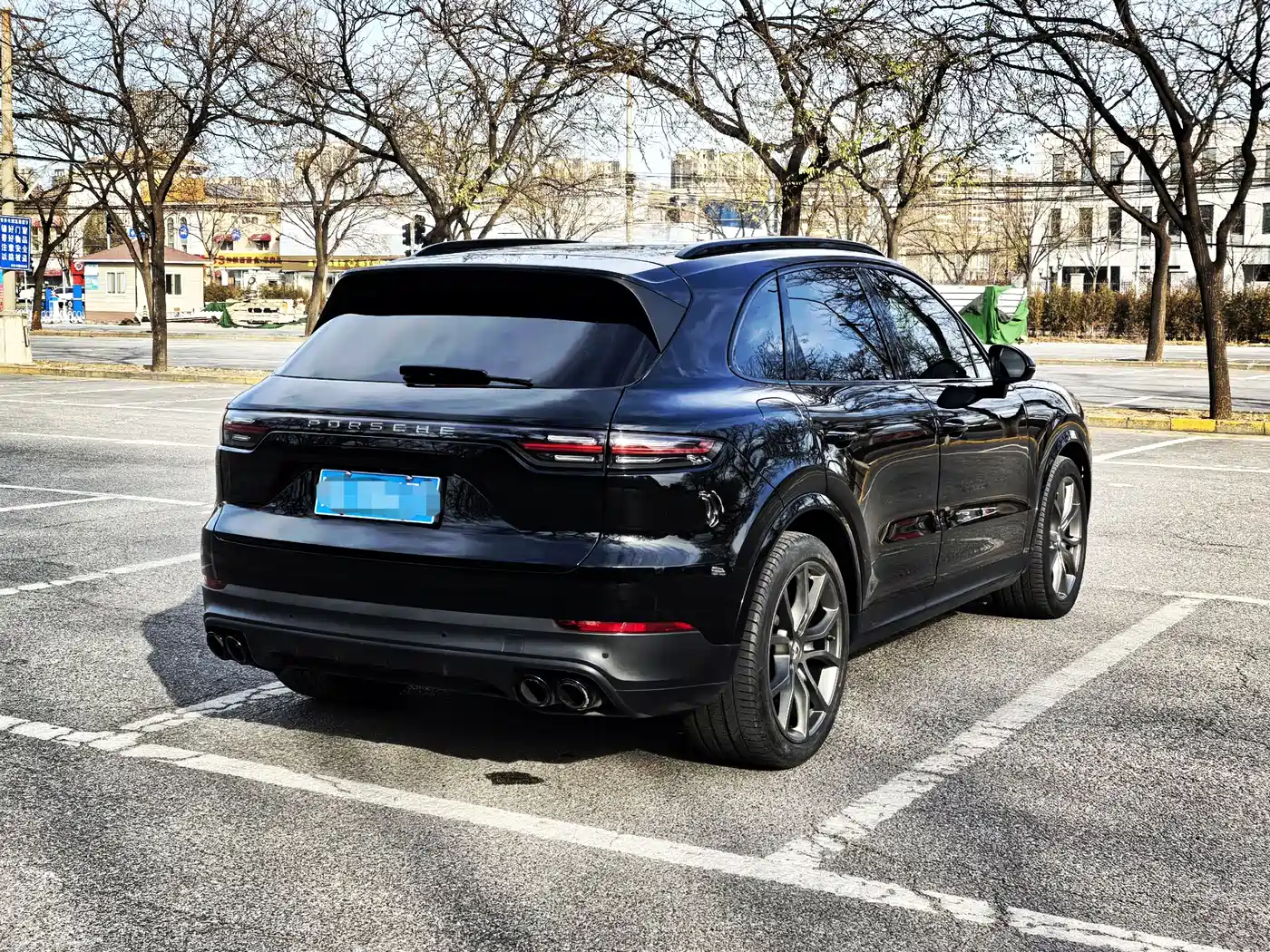Porsche Cayenne 2023 Cayenne 3.0T Platinum Edition фото 19