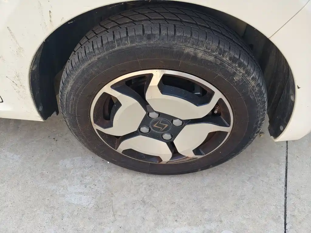 Sehol Flower Fairy 2021 2021 302km Luxury Edition 31.4kWh
