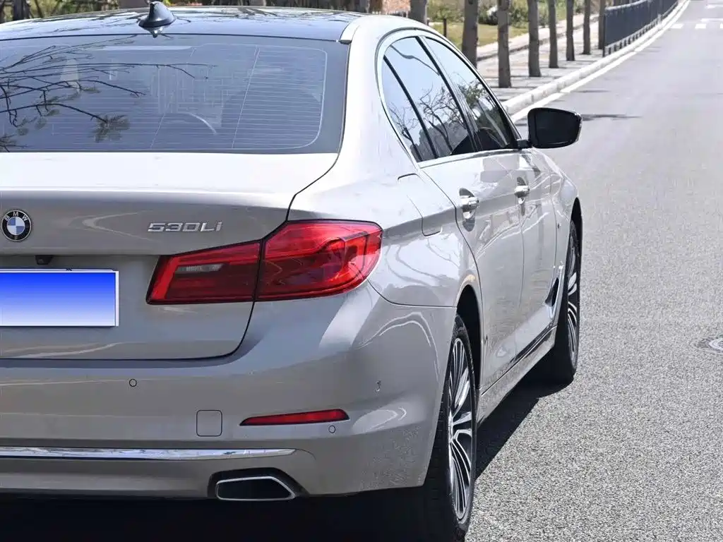 BMW 5 Series 2018 530Li Exclusive Luxury Package фото 5