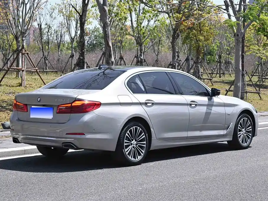 BMW 5 Series 2018 530Li Exclusive Luxury Package фото 3