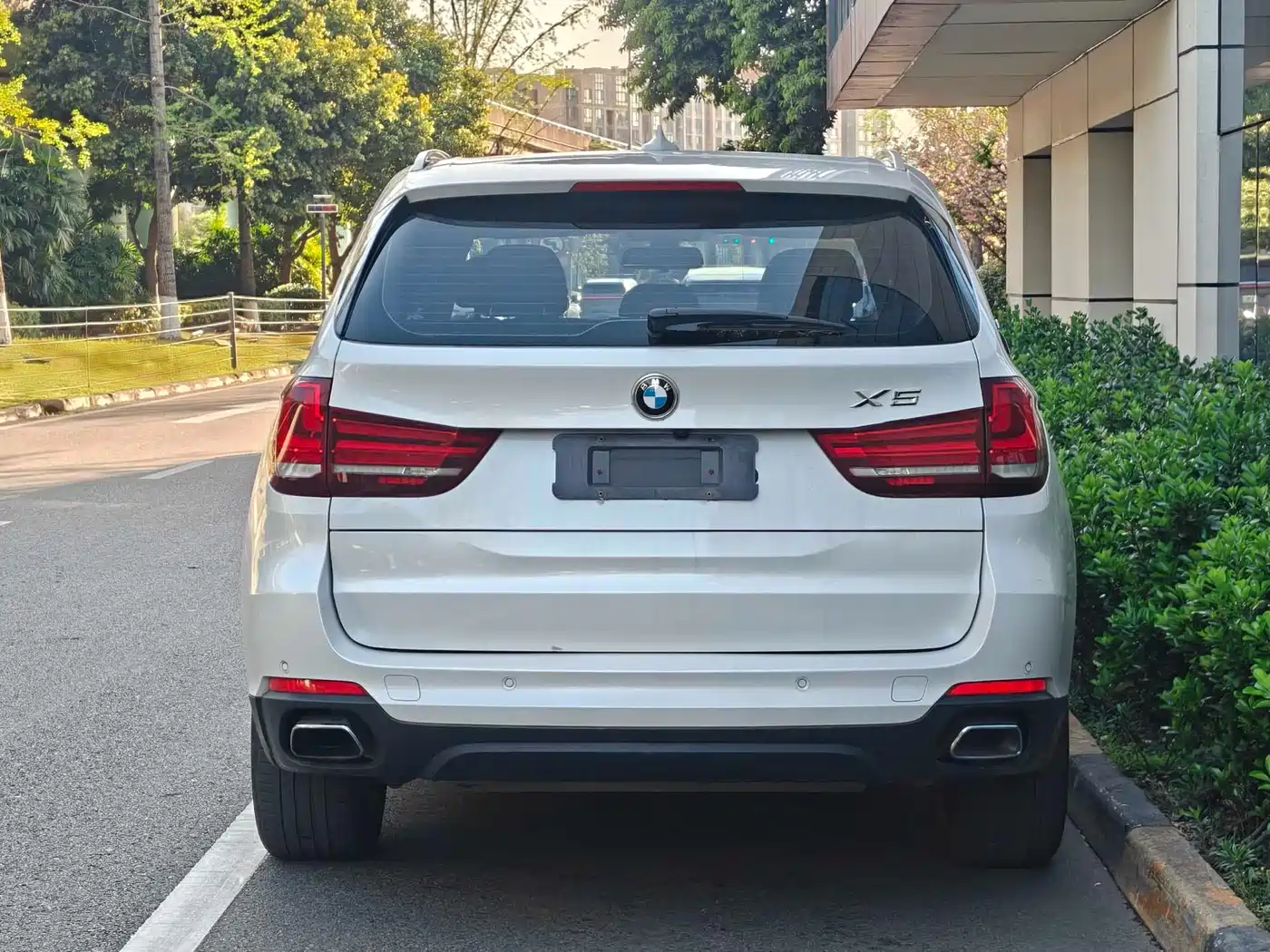 BMW X5 NEW ENERGY