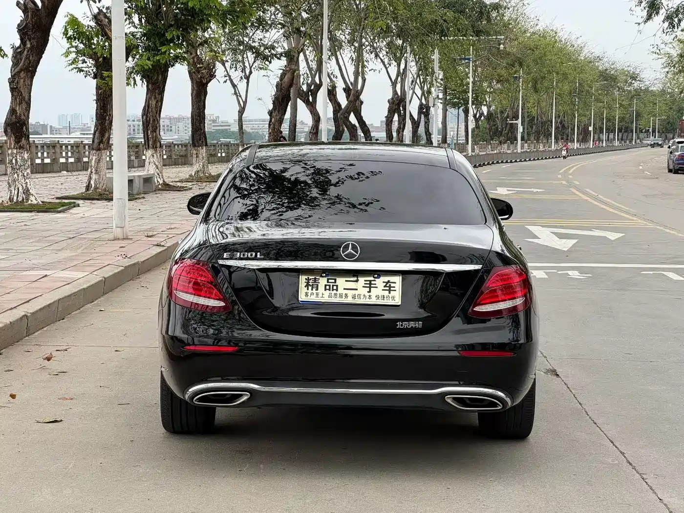 Mercedes-Benz E-Class 2019 E 300 L Fashion фото 7
