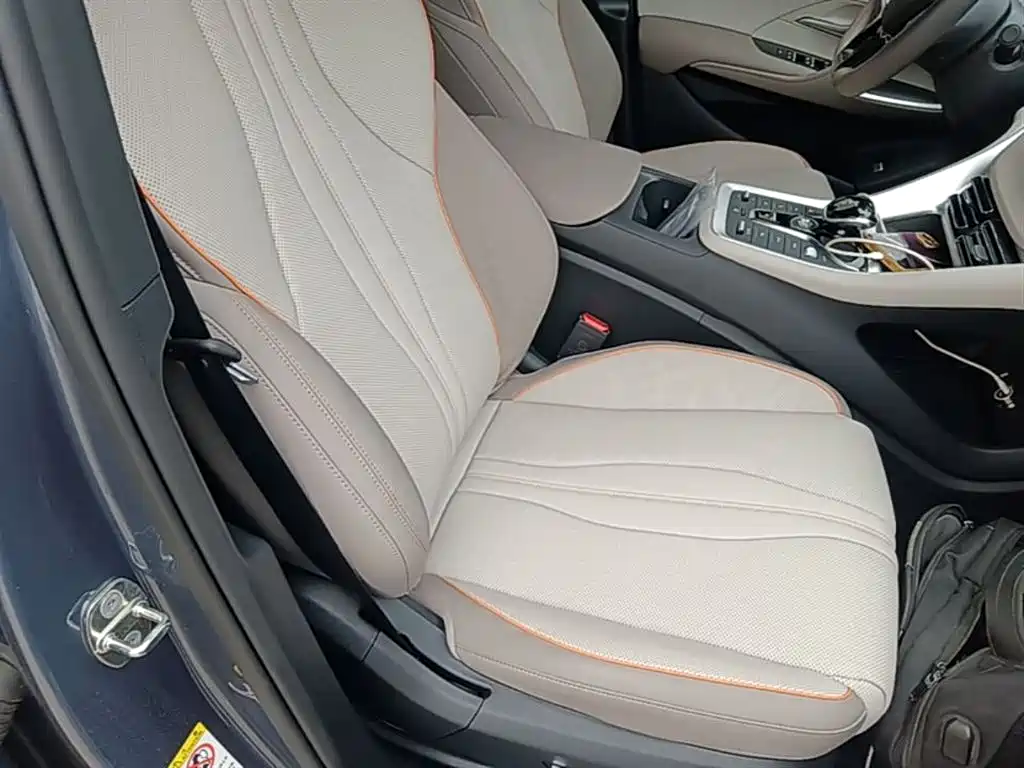 BYD Song Pro New Energy 2023 Champion Edition DM-i 110KM Excellence фото 25