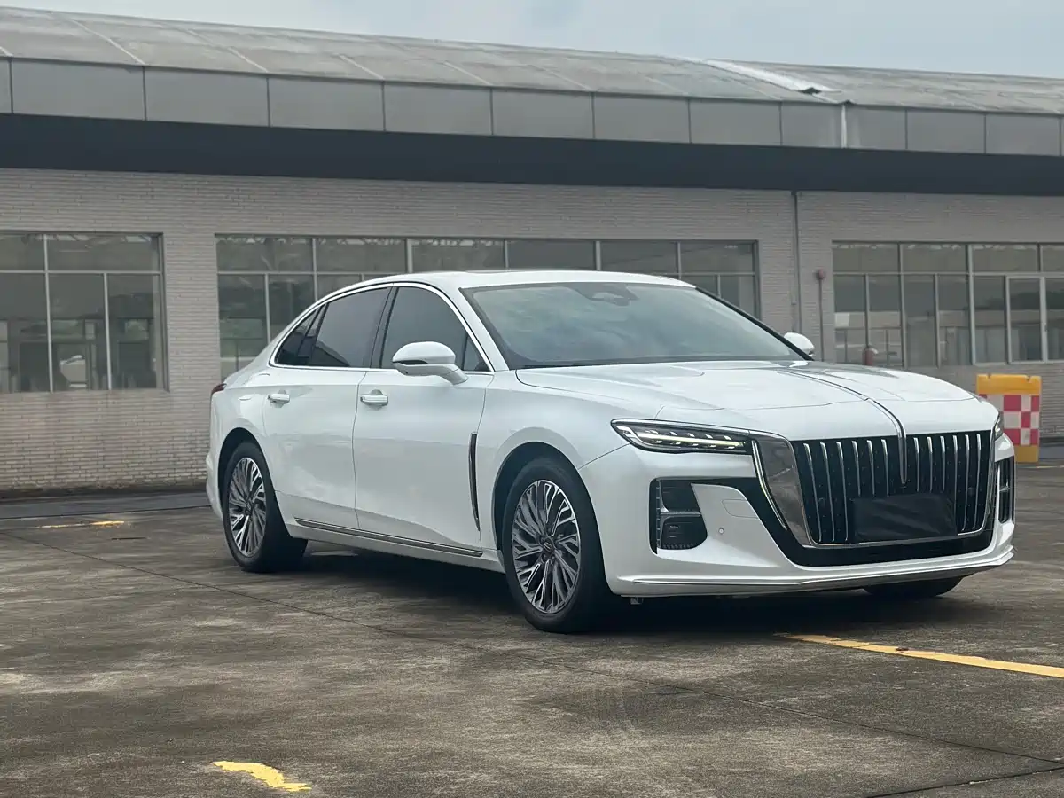 Hongqi H5 2023 2.0T Auto Smart Connect Flag Comfort фото 3