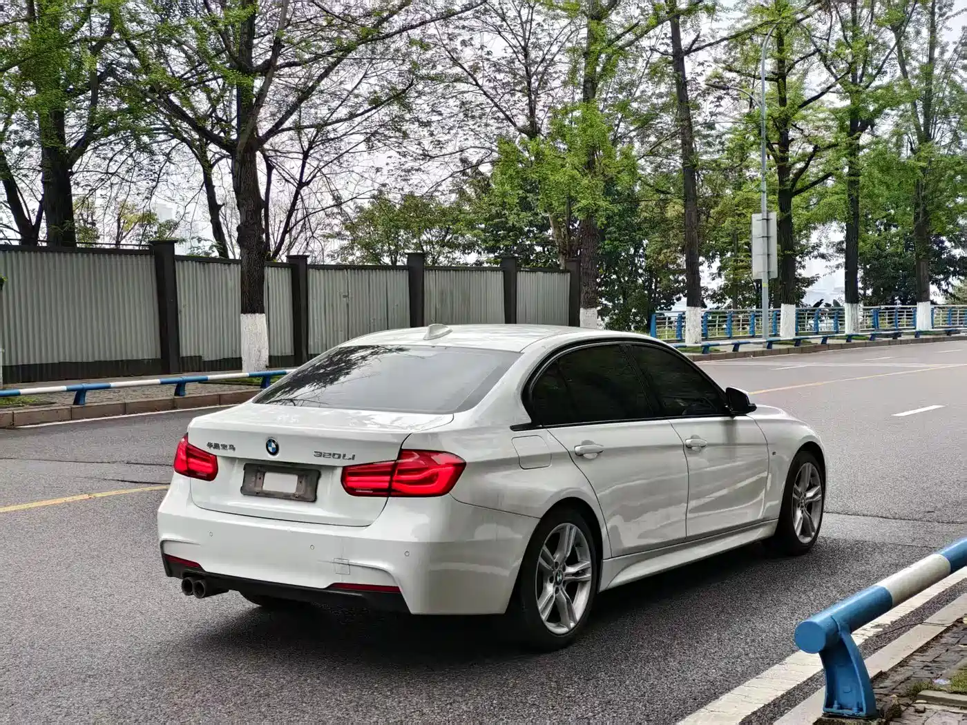 BMW 3 Series 2019 320Li M Luxury Package фото 9